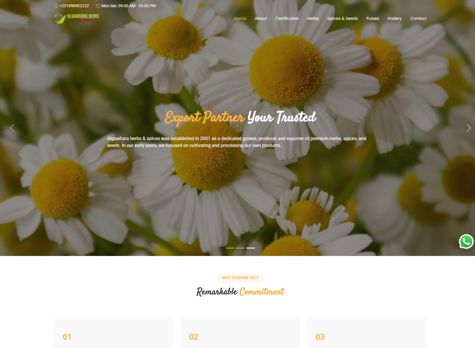 Website 1
